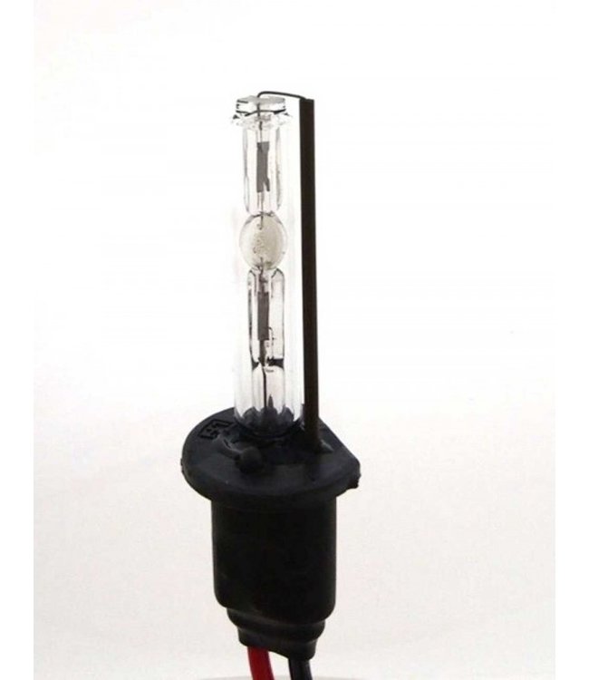 H1 motor Xenon set