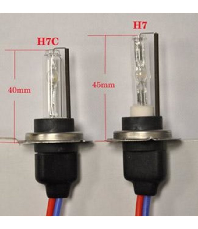 H7C Xenon vervangingslampen