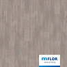 mFLOR Argyll Fir Warferry 75112 mFLOR Argyll Fir Warferry 75112