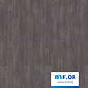 mFLOR Argyll Fir Montrose 75115 mFLOR Argyll Fir Montrose 75115