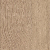 mFLOR Parva Broad Leaf Dark Sycamore 40813 mFLOR Parva Broad Leaf Dark Sycamore 40813