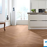 mFLOR Parva Broad Leaf Dark Sycamore 40813 mFLOR Parva Broad Leaf Dark Sycamore 40813