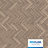 mFLOR Parva Broad Leaf Smoky Sycamore 40817 mFLOR Parva Broad Leaf Smoky Sycamore 40817