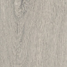 mFLOR Parva Broad Leaf Smoky Sycamore 40817 mFLOR Parva Broad Leaf Smoky Sycamore 40817