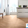 mFLOR Parva Broad Leaf Pure Sycamore 40822 mFLOR Parva Broad Leaf Pure Sycamore 40822