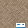 mFLOR Parva Oak Calabria 41213 mFLOR Parva Oak Calabria 41213