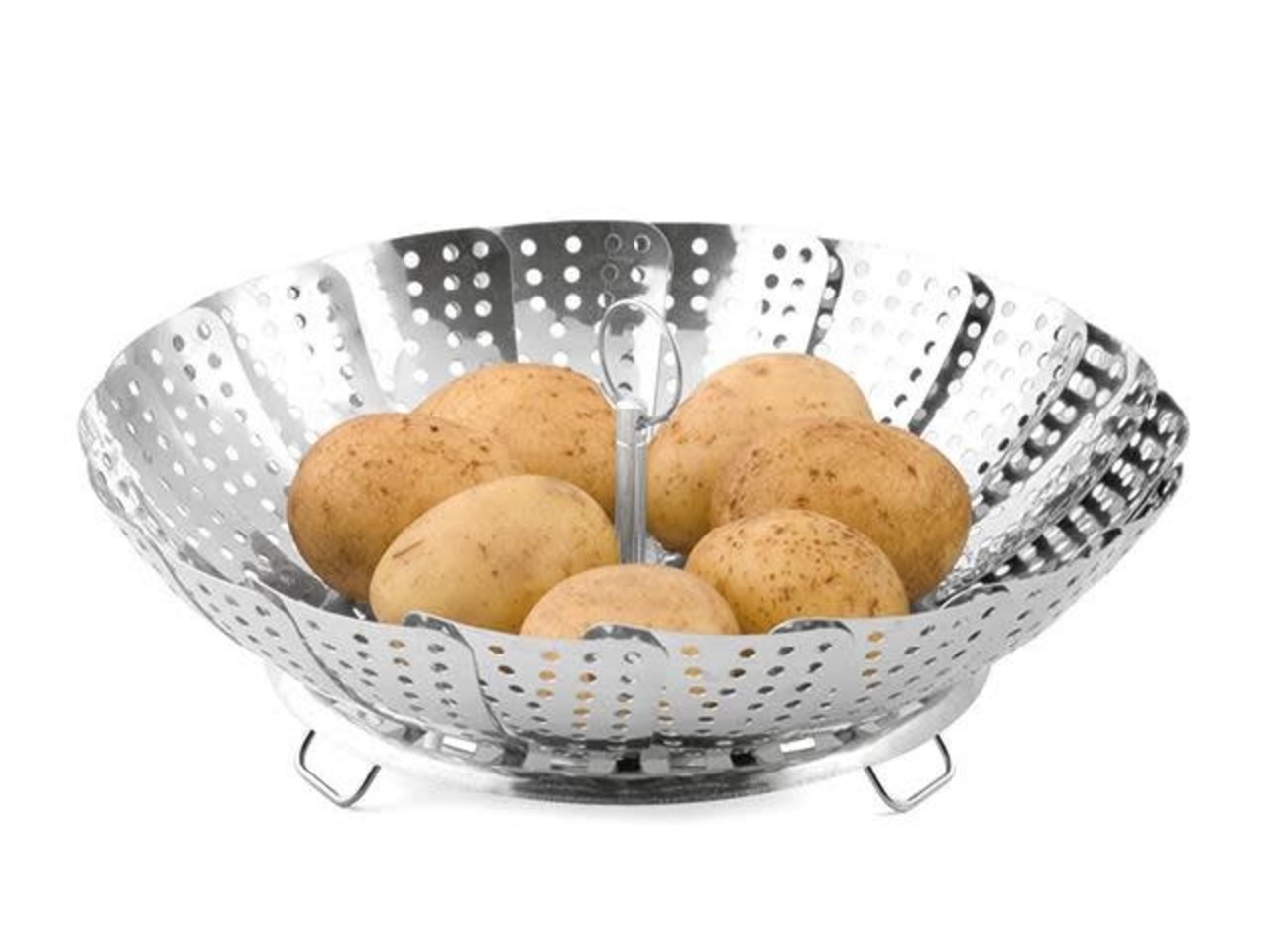 Weis Stoombloem 18-27cm Weis Stoombloem 18-27cm