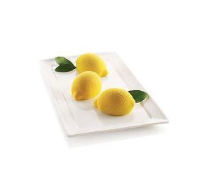 Silikomart Silicone mold 6x “Delizia al Limone” 8,5cm