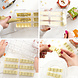 Decora Professional polycarbonate chocolate mold, circle bar, 6 cavities