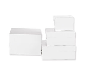 Decora taart-/gebakdoos  30,5x30,5x15cm