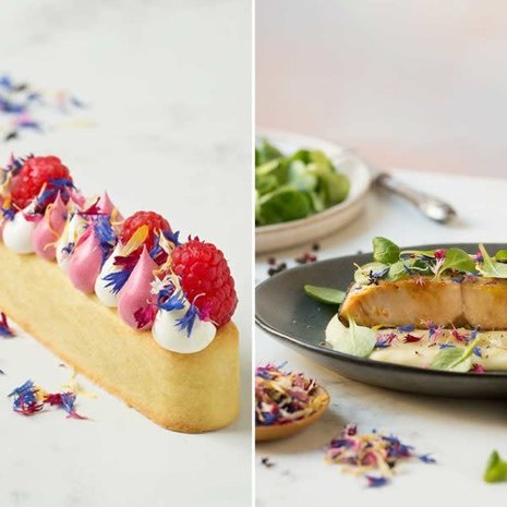 Decora Eetbare gedroogde bloemen, zomerkleuren