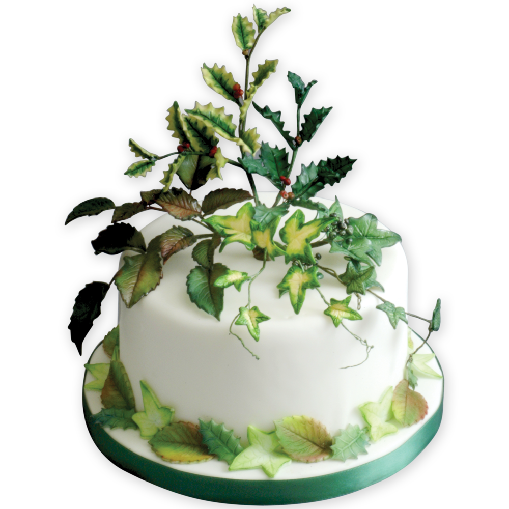 PME 3 fondant-uitsteekvormen geaderde rozenbladeren