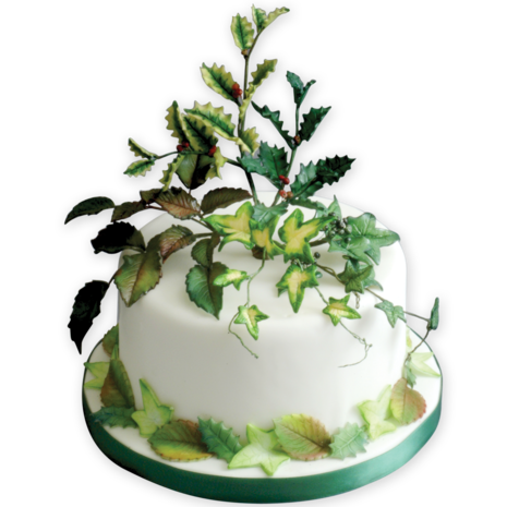 PME 3 fondant-uitsteekvormen geaderde rozenbladeren