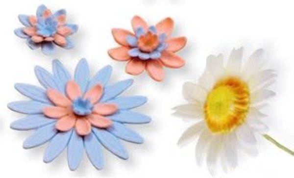 PME 3 fondant-uitsteekvormen margriet / madelief PME 3 fondant-uitsteekvormen margriet / madelief