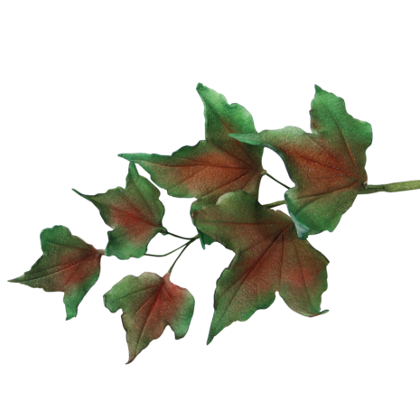 Uitsteekvormpjes voor fondant-gebladerte, set van 7