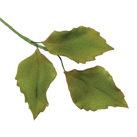 Uitsteekvormpjes voor fondant-gebladerte, set van 7