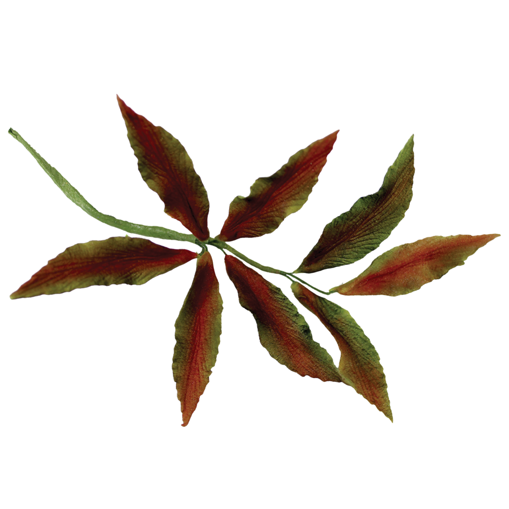 7-piece set fondant cutters leaves 7-piece set fondant cutters leaves