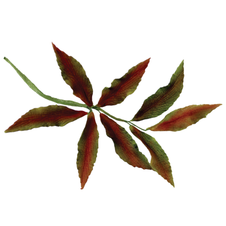 7-piece set fondant cutters leaves 7-piece set fondant cutters leaves