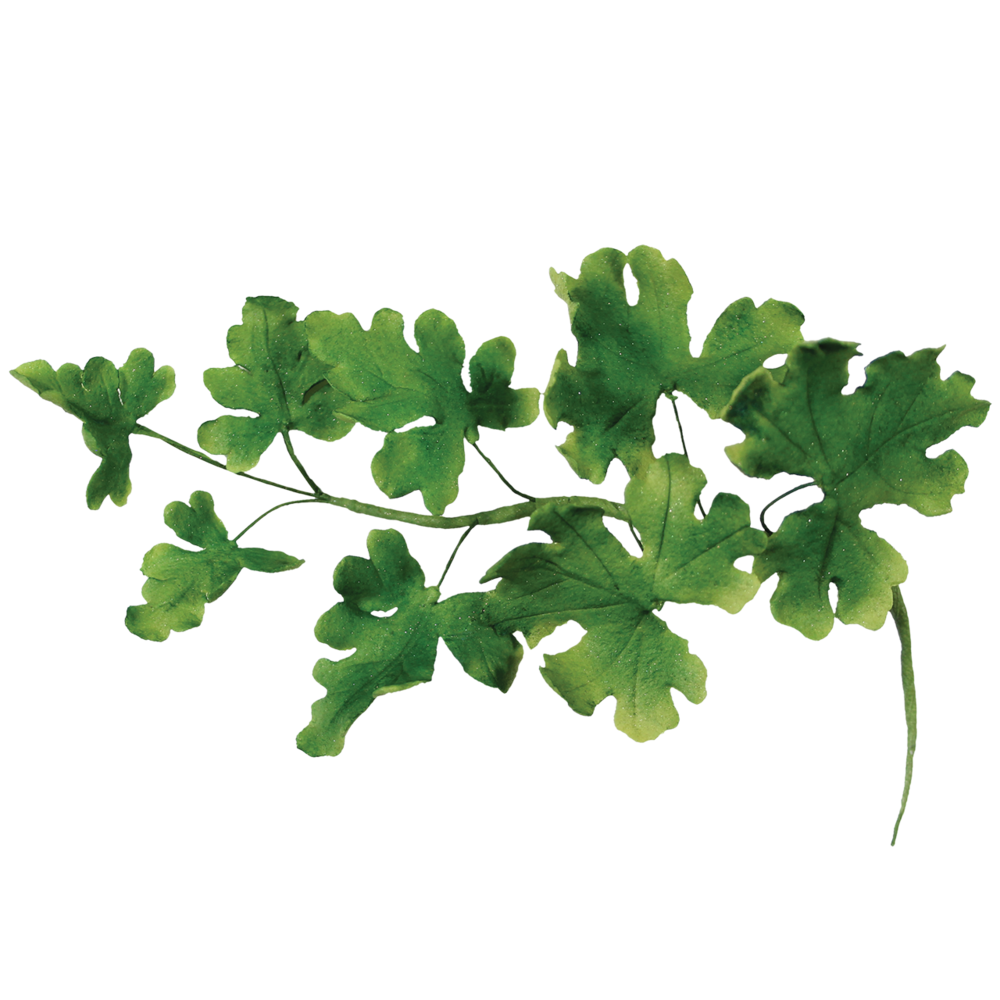 7-piece set fondant cutters leaves 7-piece set fondant cutters leaves