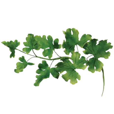 7-piece set fondant cutters leaves 7-piece set fondant cutters leaves