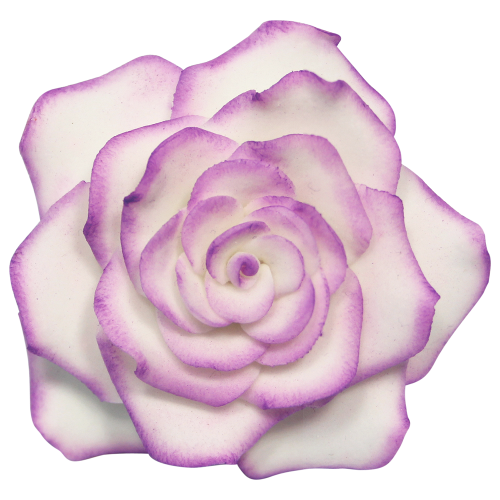 PME set of 4 stainless steel rose petal cutters