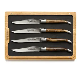 Laguiole en Aubrac 4 steak knives pistachio Laguiole en Aubrac 4 steak knives pistachio
