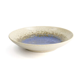 Tokyo Design Studio Minoyaki Mori White bowl 28.5cm Tokyo Design Studio Minoyaki Mori White bowl 28.5cm