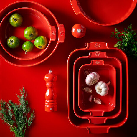 Peugeot Appolia rectangular ceramic oven dish 32cm Rouge Peugeot Appolia rectangular ceramic oven dish 32cm Rouge