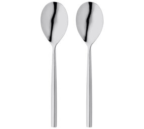 Set of 2 Rochester serving spoons Set of 2 Rochester serving spoons