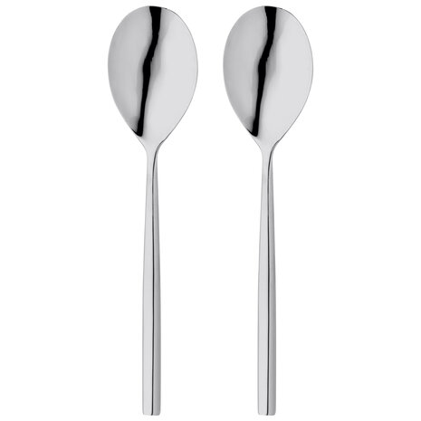 Set of 2 Rochester serving spoons Set of 2 Rochester serving spoons
