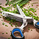 Judge Herb scissors Judge Herb scissors