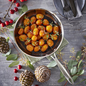 Scanpan Fusion 5 Scanpan Fusion 5