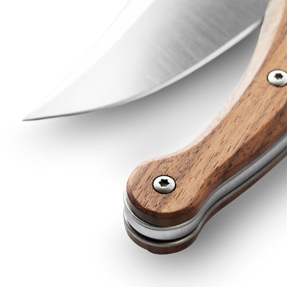 Lionsteel Gitano Slipjoint Santos