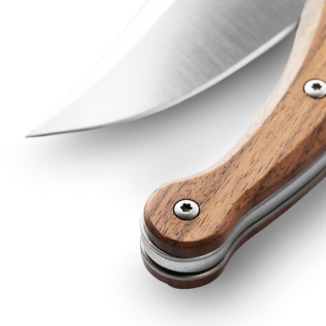 Lionsteel Gitano Slipjoint Santos