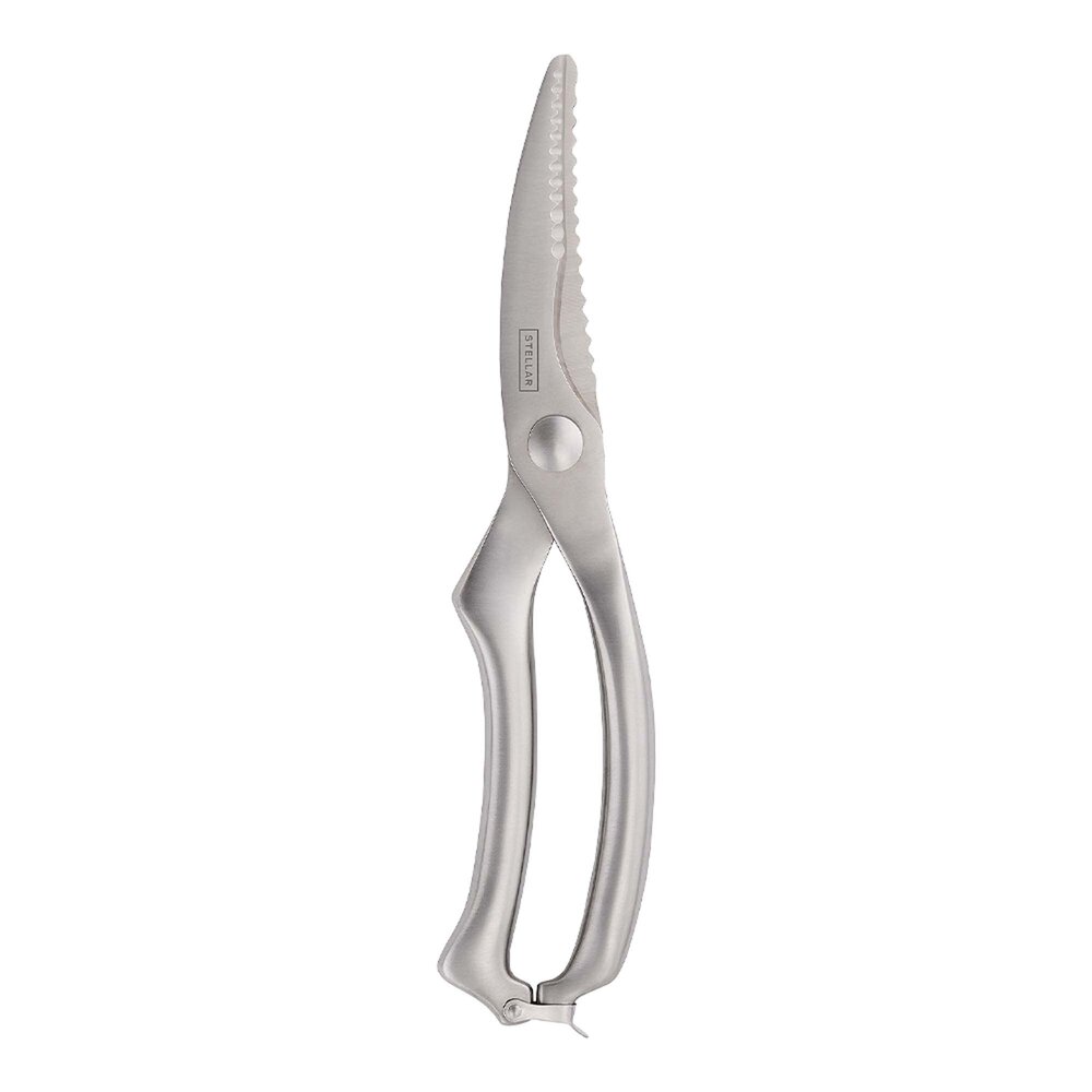 Stainless steel poultry shears