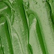 PME Oil based food coloring 20g green PME Oil based food coloring 20g green