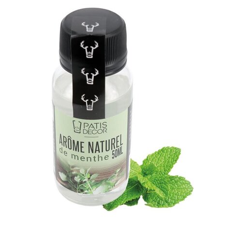 Patis Decor Natural mint flavor 50ml