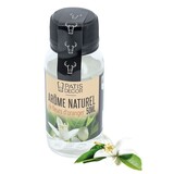Patis Decor Natuurlijk sinaasappelbloesem-aroma 50ml