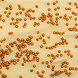 PME Hundreds & Thousands sprinkles – Gold (86g / 3oz)