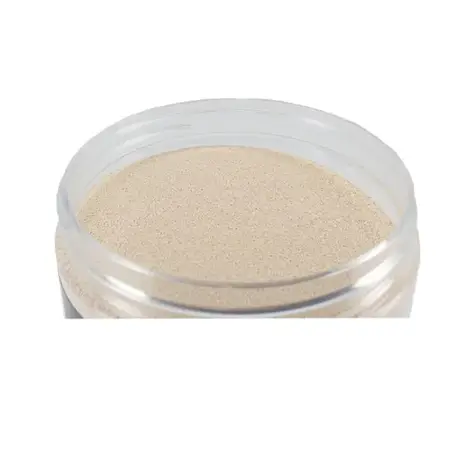 Patis Decor Instant droge bakkersgist, 50 g Patis Decor Instant droge bakkersgist, 50 g