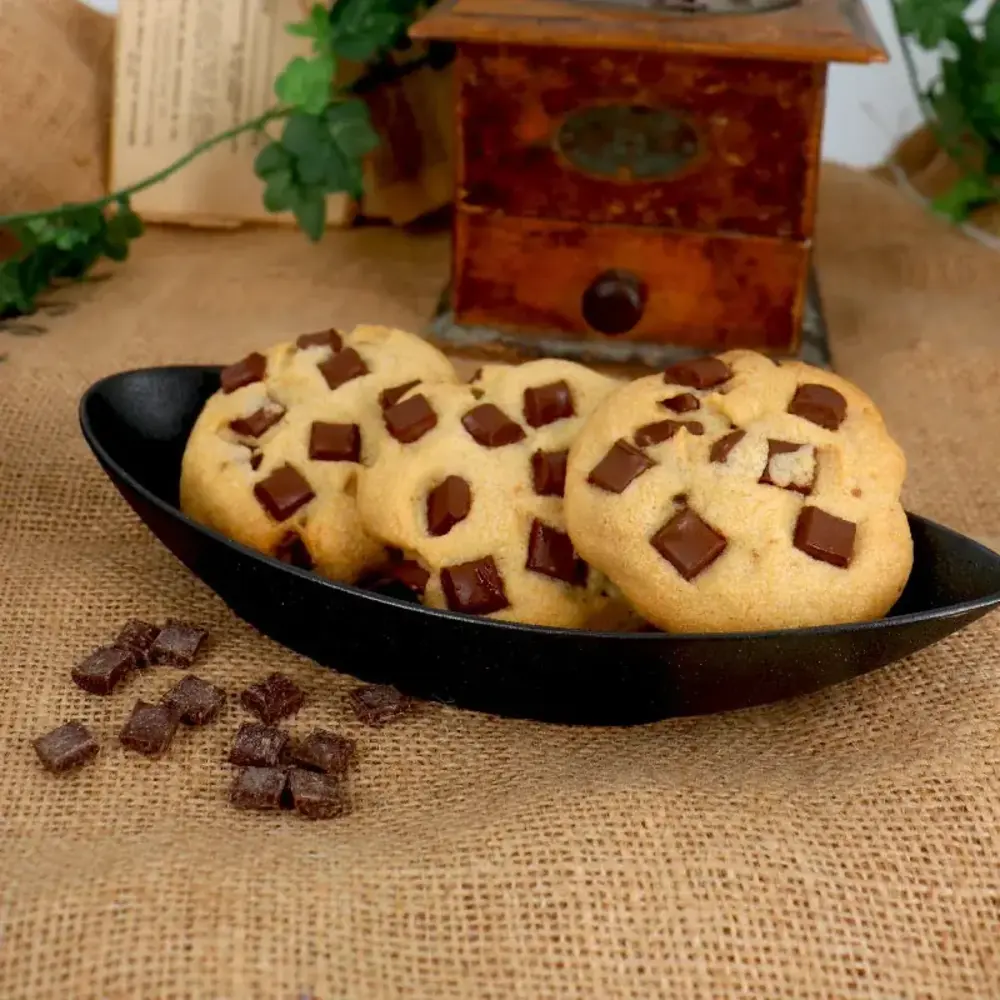Patis Decor Puur chocolade maxi chunks van Barry Callebaut, 45,5% cacao, 250 g
