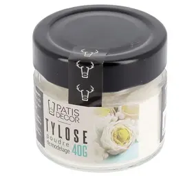 Patis Decor Tylose CMC powder, 40 g