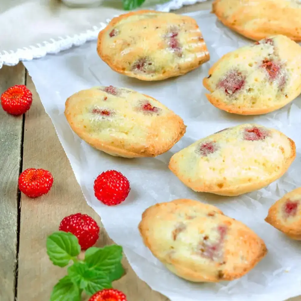 Patis Decor Mini-madeleinevorm, 20 vormpjes (4 x 3 cm), antiaanbak staal, PFAS-vrij