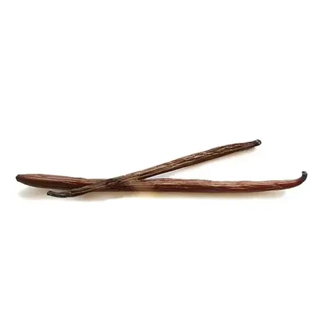 Patis Decor Bourbon Madagascar vanillestokjes, soepel en vlezig, set van 2