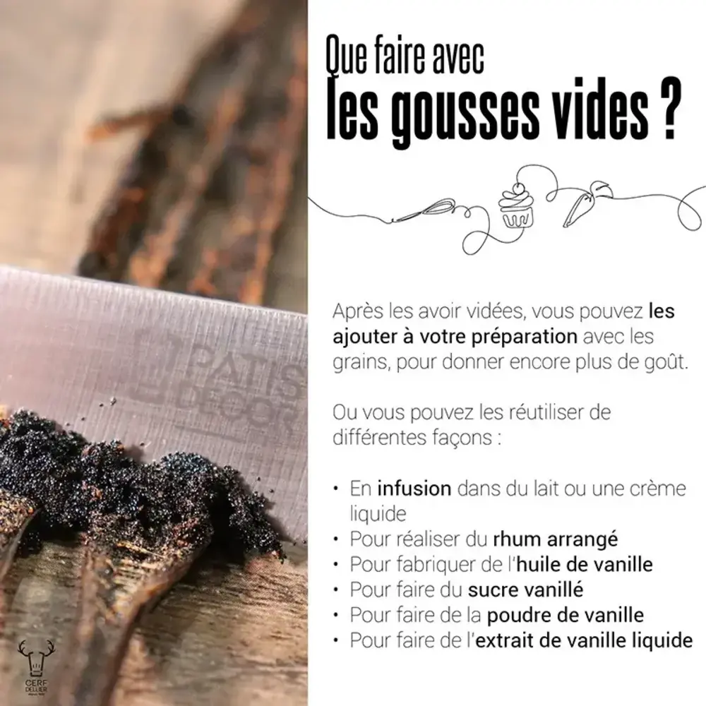 Patis Decor Bourbon Madagascar vanillestokjes, soepel en vlezig, set van 2