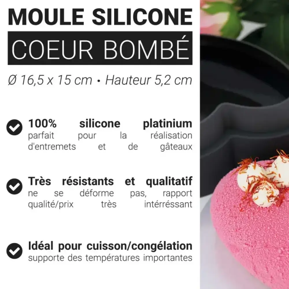 Patis Decor Siliconen mal van platinumsilicone voor entremets en taarten, 16,5 x 15 cm