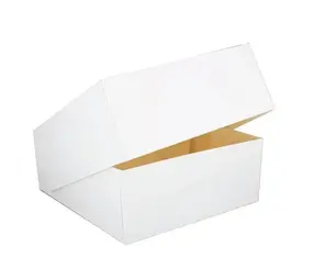 Patis Decor Witte taartdoos, 20 x 20 x 10 cm