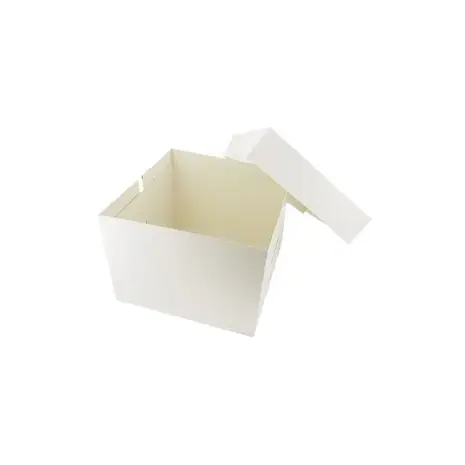 Patis Decor Witte vierkante kartonnen taartdoos voor het verpakken en vervoeren van taarten, 25 x 25 x 20 cm (set van 10) Patis Decor Witte vierkante kartonnen taartdoos voor het verpakken en vervoeren van taarten, 25 x 25 x 20 cm (set van 10)