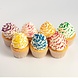 PME Sprinkles Assortiment (7) - Regenboog