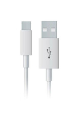 Kiwi Vapor Kiwi Vapor - USB-C Kabel